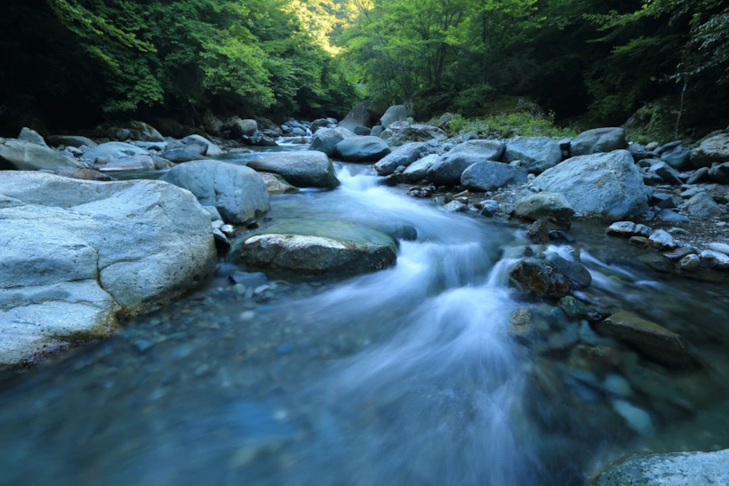 Fotoğraf Altyazısı | kazuend (unsplash.com)