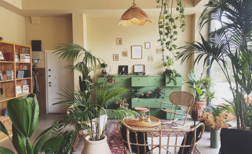 Yalova’da İki Keşif: Botanic Sera ve Hidden Back