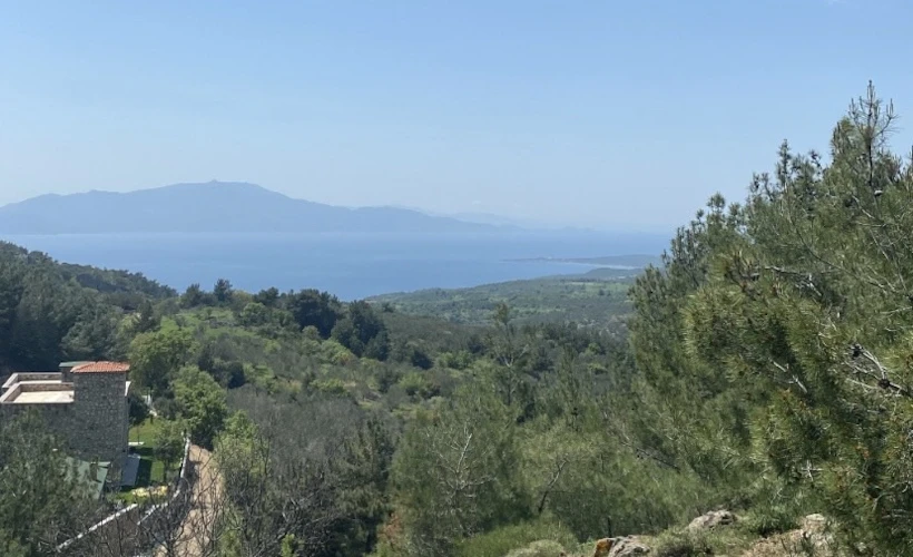 Kayalar Köyü: Ufak Bir Gezinti ve Avlu124 ile Tanışma