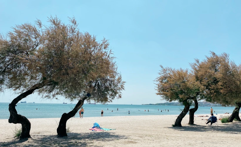 Bakırköy ve Florya Rehberi: Yaz Düşleri Kurduran Rota