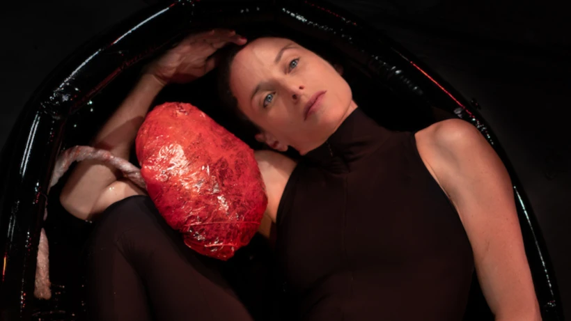 placenta