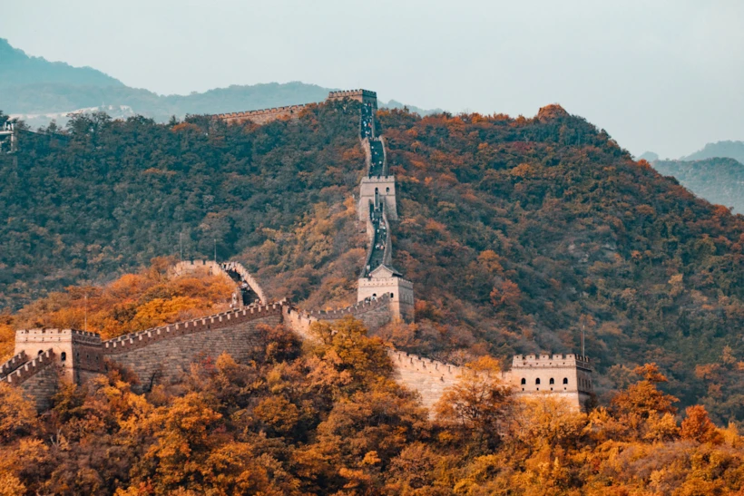 Fotoğraf Altyazısı | Hanson Lu (unsplash.com)