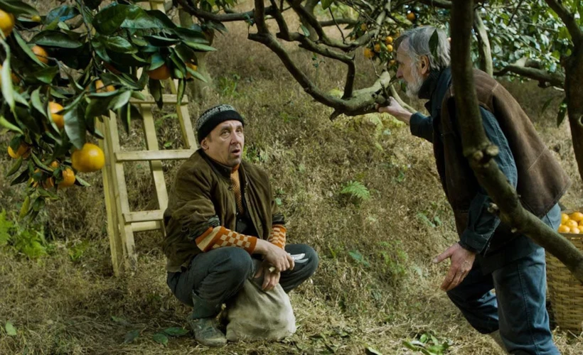 Mandalina Bahçesi: Yitip Gitmemenin Çağrısı Niteliğinde Bir Film