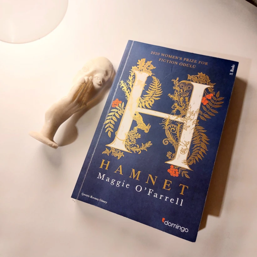 sana-iyi-gelir-kitap-hamnet
