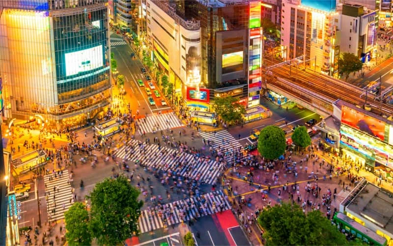 shibuya-crossing-by-night