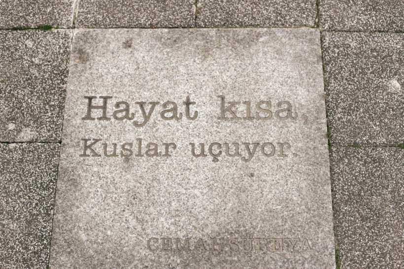 14-cemal-sureya