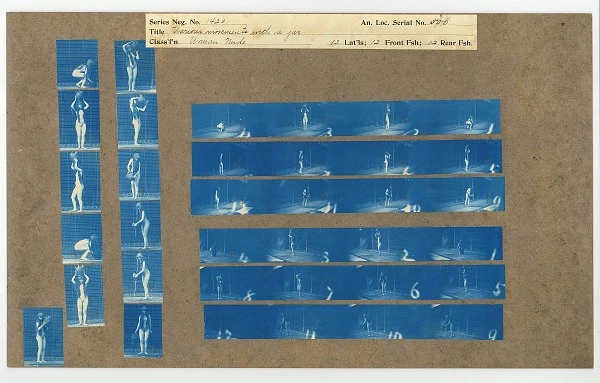 a1-7