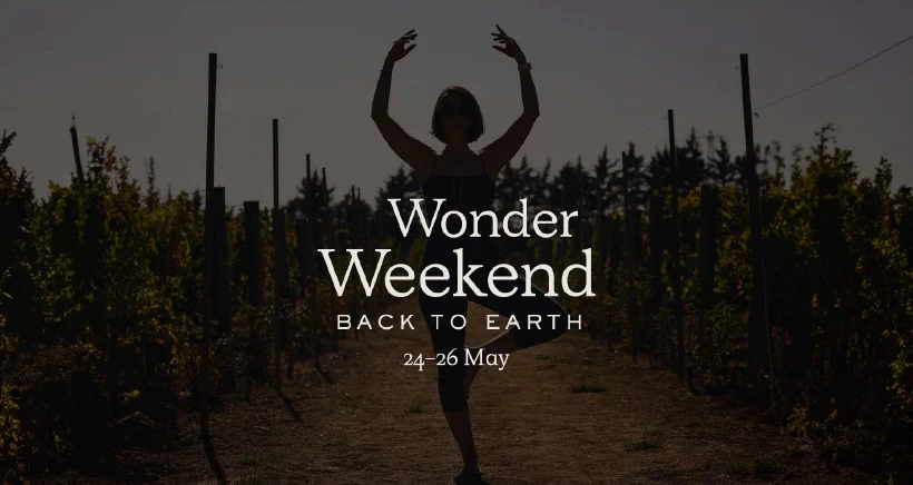 Back To Earth: "Wellness" ve Topraklanma Deneyimimden Notlar