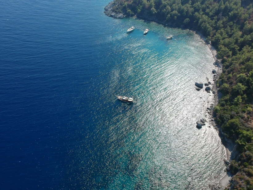Fotoğraf Altyazısı | Mehmet Belet (unsplash.com)