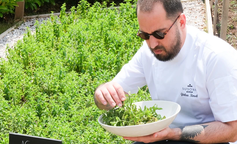 Malva Bodrum'un Şefi Gürkan Tümsek ile: Gastronomi ve Sıfır Atık Üzerine