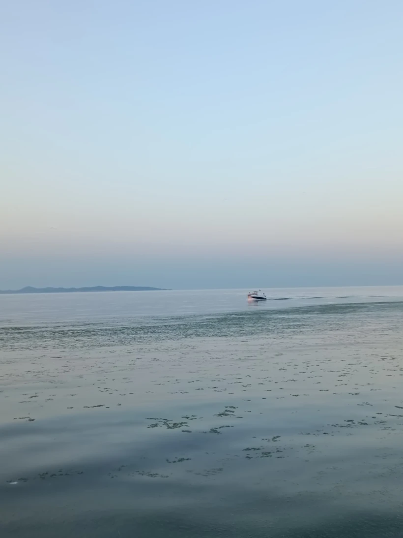 1724508457149