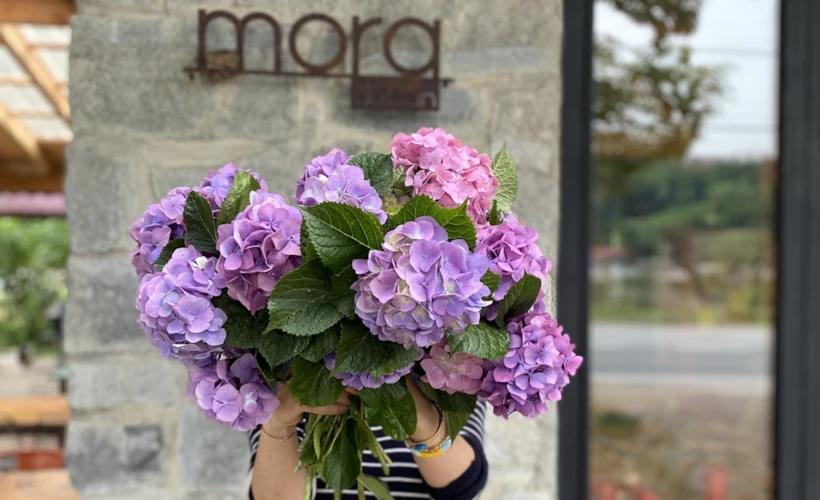 Çamlıhemşin’den Yeldeğirmeni’ne İki Mekan: Mora &amp; Potka