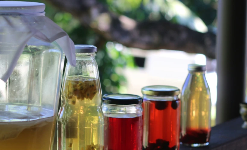 Evde Kombucha Yapımı: Sağlıklı Bağırsaklar İçin