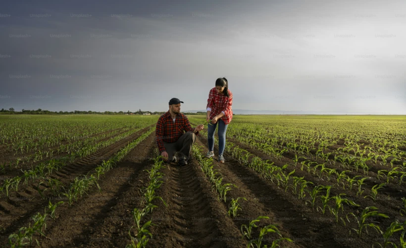 Agroturizm: Doğanın Güzellikleriyle Dolu Bir Seyahat