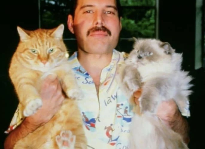 Hayvan Dostu Müzisyenler: Freddie Mercury'den Joni Mitchell'e