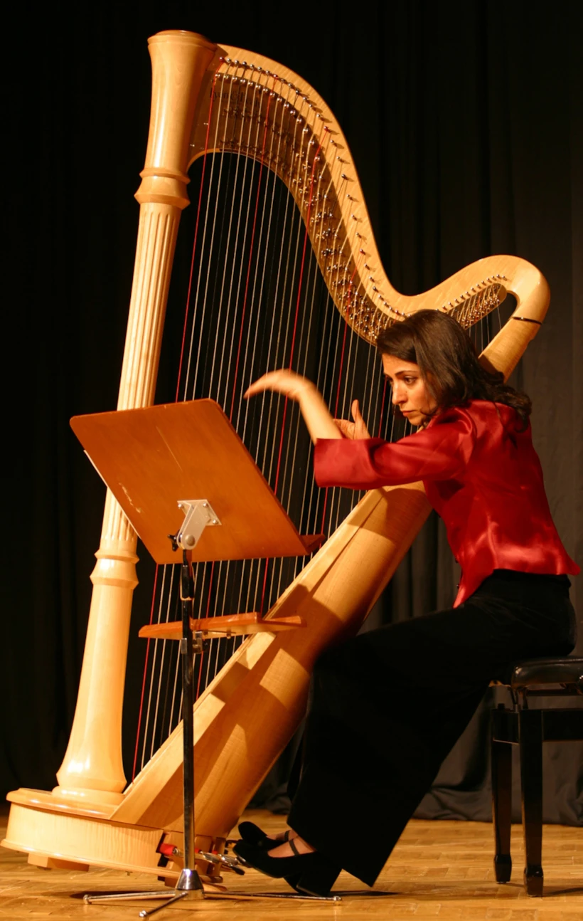 ceren-necipoglu-2