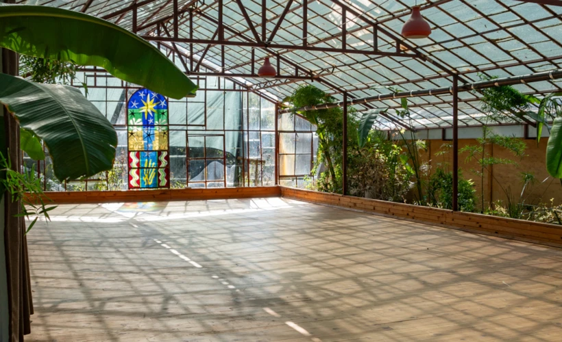Yaşama Yön Veren Elementler: Greenhouse Art Days Üzerine