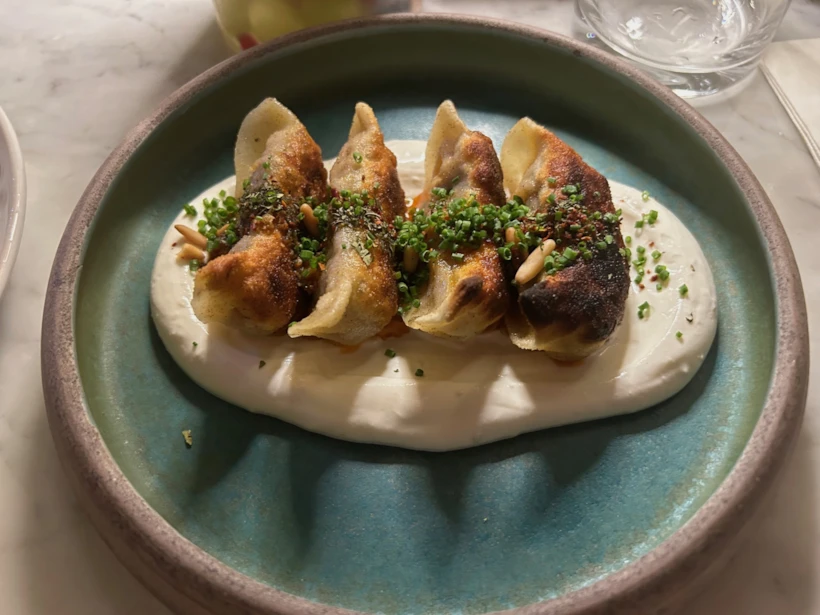 shish-barak-a-la-gyoza-manti