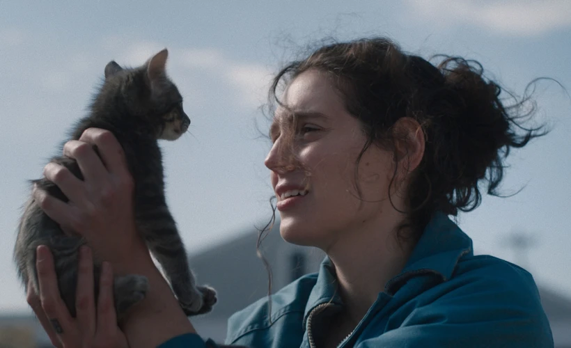 Sorry, Baby: Travmanın Sessiz Yankıları