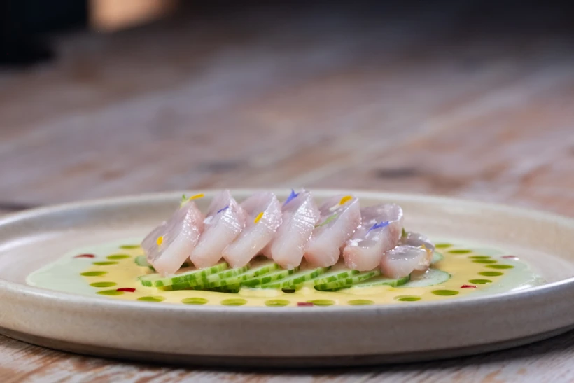crudo