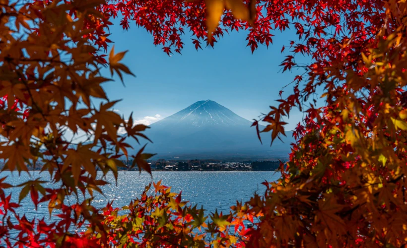 Momijigari: Japonya’da Sonbaharın Kırmızı Ritüeli