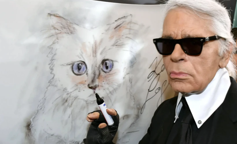 'Cat Couture': Sessiz İlham Perilerinin Gardırobu Neden Boş?