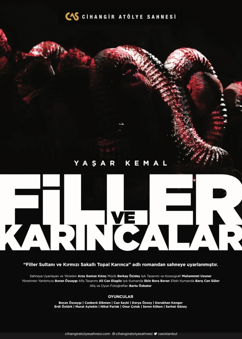 filler-ve-karincalar-afis