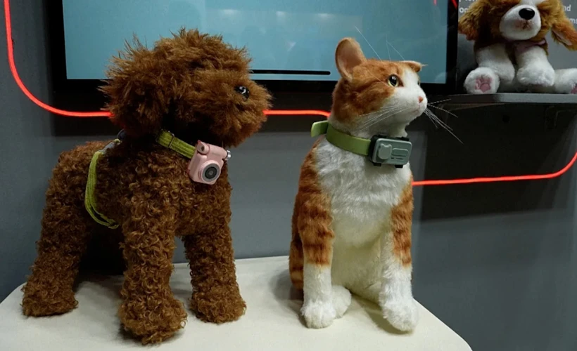 'PetPhone': Evcil Hayvan Teknolojilerinde Yeni Adım