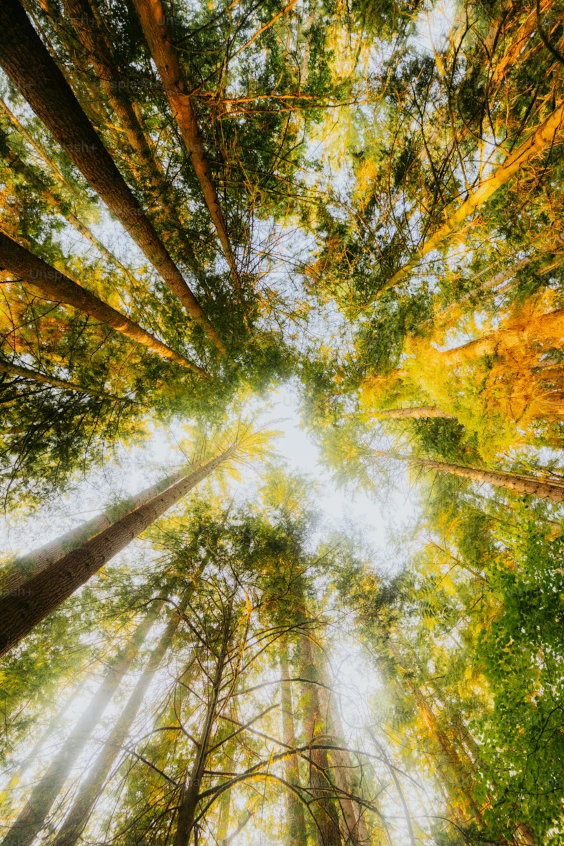 Fotoğraf Altyazısı | Luke Miller (unsplash.com)