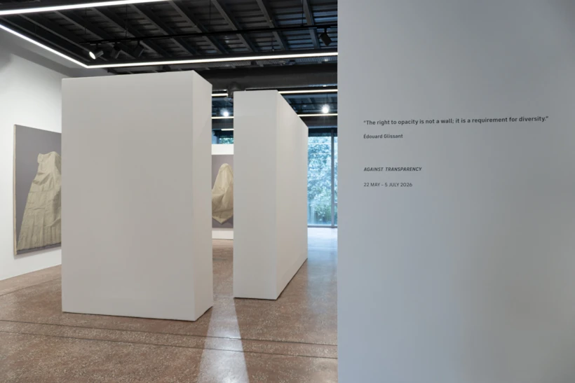 against-transparency-installation-view-2-shiva-zahed-gallery-photo-by-ali-nazari