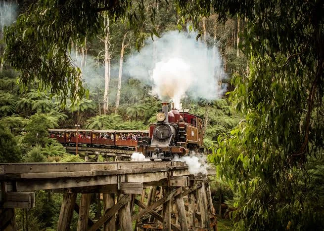 Puffing Billy Train: Dünyanın En Nadir Yolculuklarından Birinden Notlar