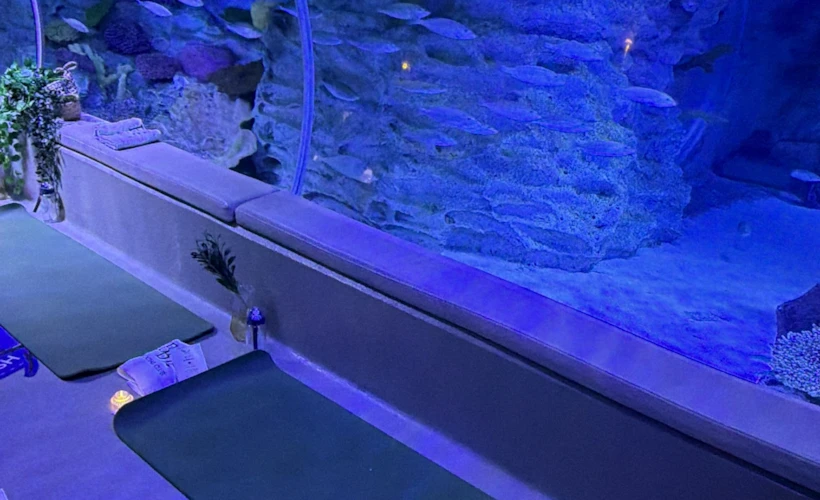BB Social Club: Birlikte Olmanın Mutluluğu, Yeni Nesil Sosyal Kulüp