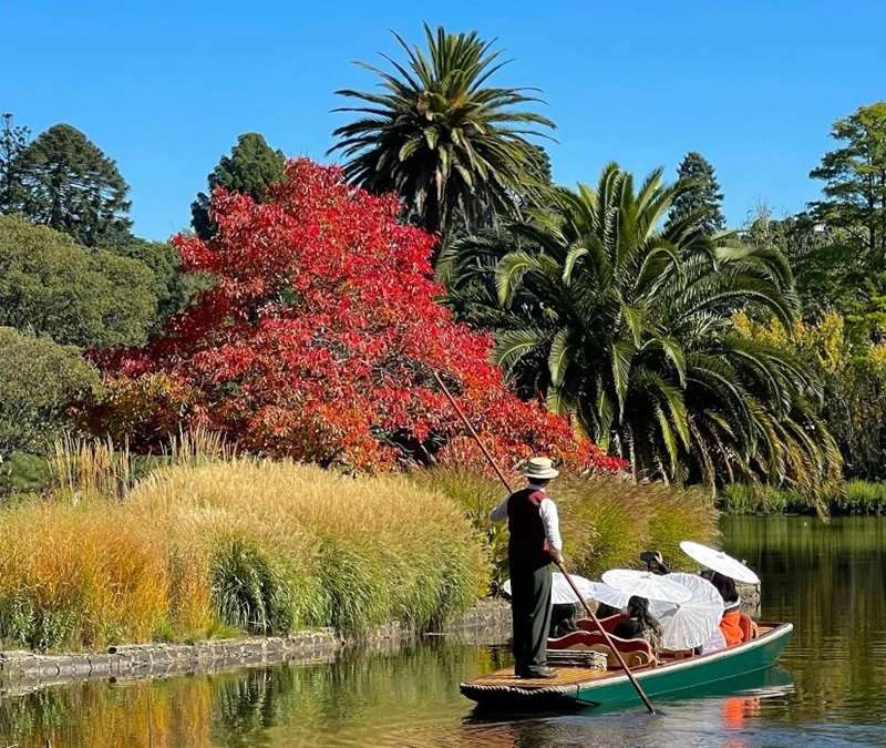 punting-on-the-lake-botanic-gardens