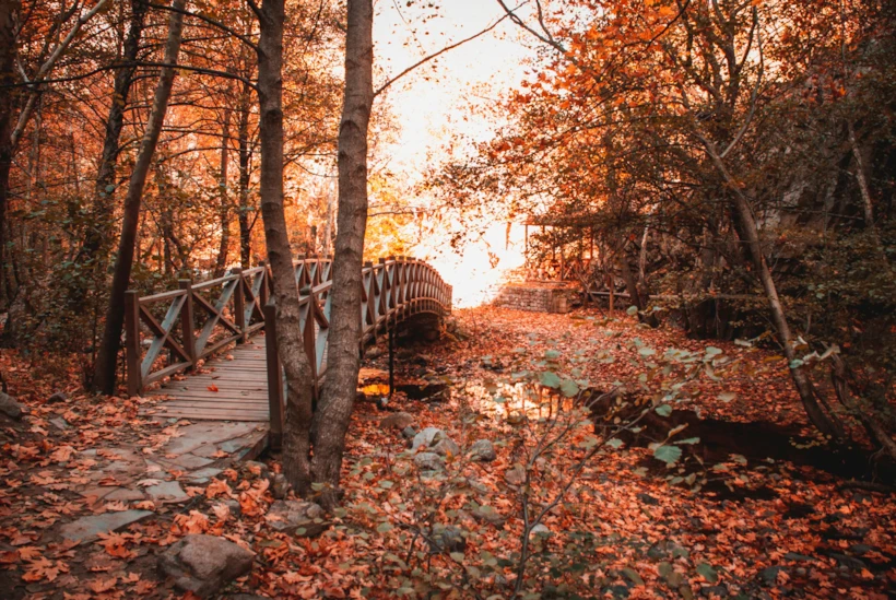 Fotoğraf Altyazısı | Guven (unsplash.com)