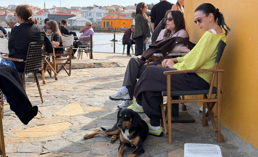 BIFED 2026: Bozcaada'daki Festivalden Öne Çıkan 3 Film