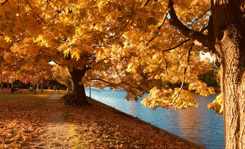 “Leaf Peeping”: Sonbahara Yakışan Bir Doğa Rotası